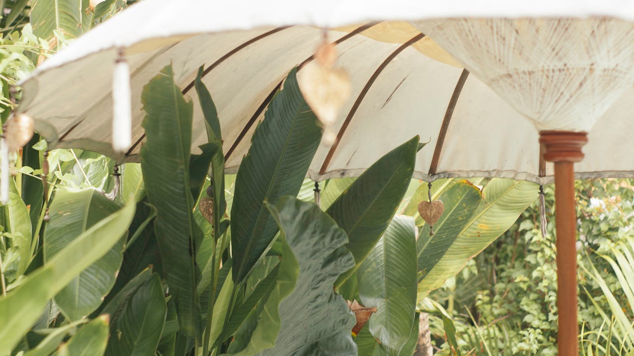 Beste parasol 2026: onze top tuinparasols voor elk terras