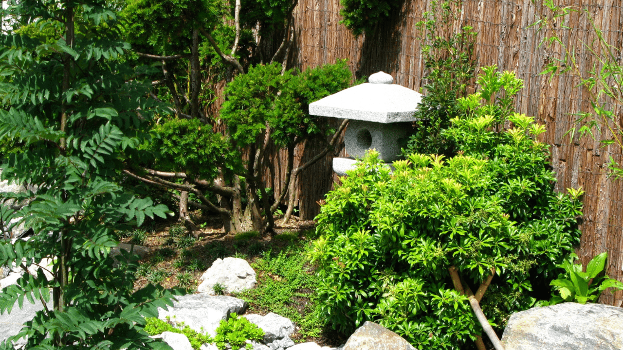 Japanse tuin ideeën - tips voor een japanse tuin