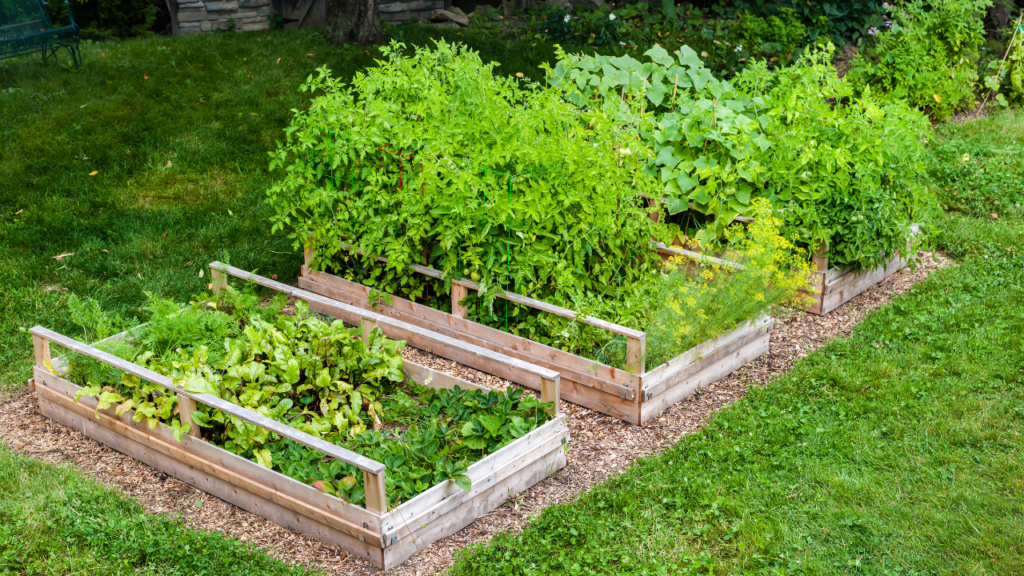 15 Ideeën om het Beste uit je Achtertuin te Halen - verhoogde houten moestuinbakken met groenten en kruiden, Boender Outdoor.