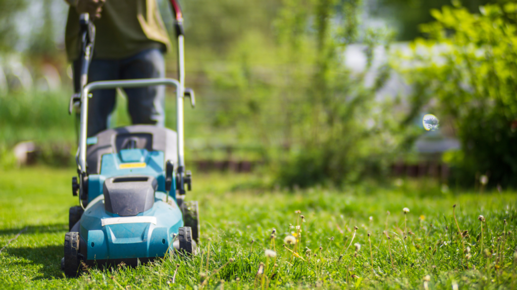Man maait het gras met een blauwe elektrische grasmaaier op een zonnige lente dag.